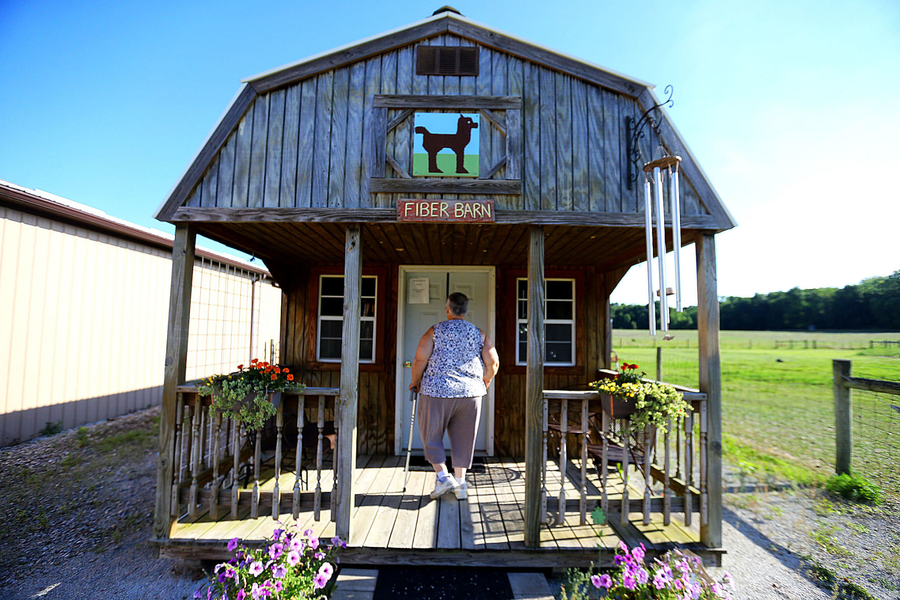 Alpaca Farm 03.jpg